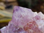Natural Sunburst Amethyst Spirit Clusters x 2 From Boekenhouthoek, South Africa - Toprock Gemstones and Minerals 