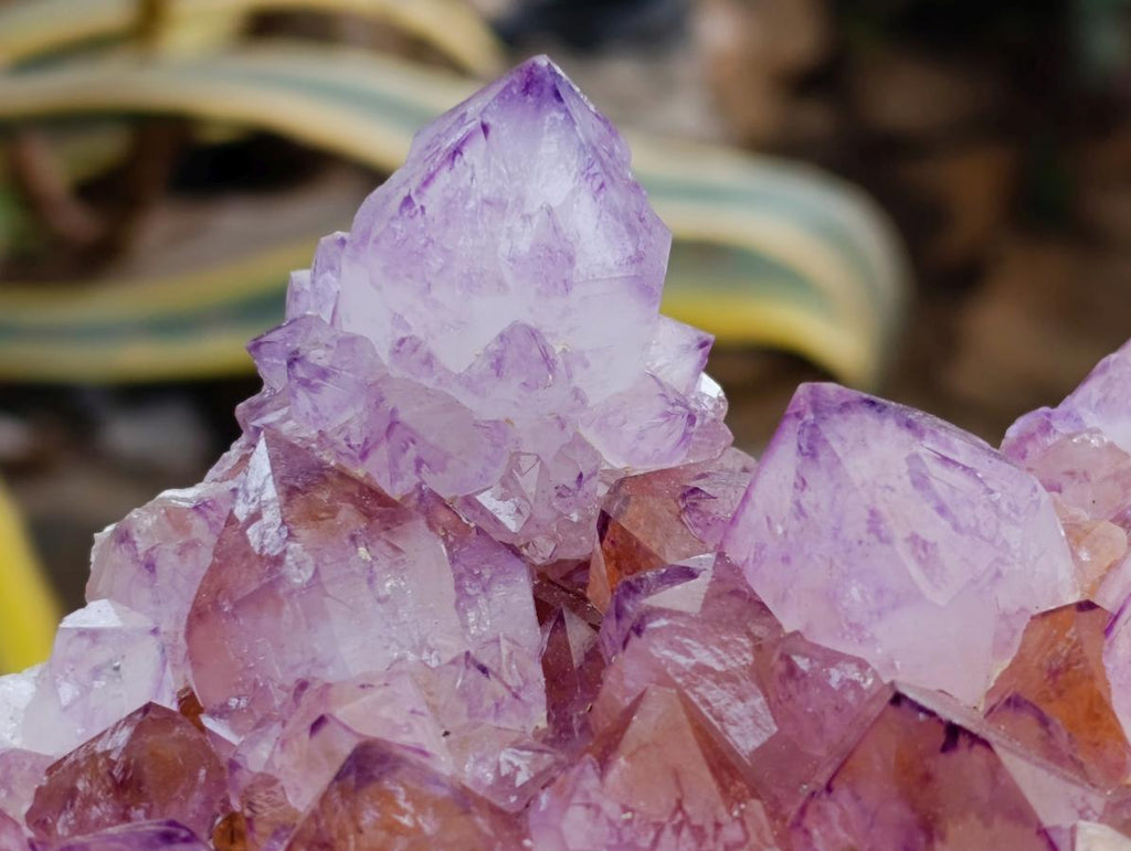 Natural Sunburst Amethyst Spirit Clusters x 2 From Boekenhouthoek, South Africa - Toprock Gemstones and Minerals 