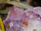 Natural Sunburst Amethyst Spirit Clusters x 2 From Boekenhouthoek, South Africa - Toprock Gemstones and Minerals 