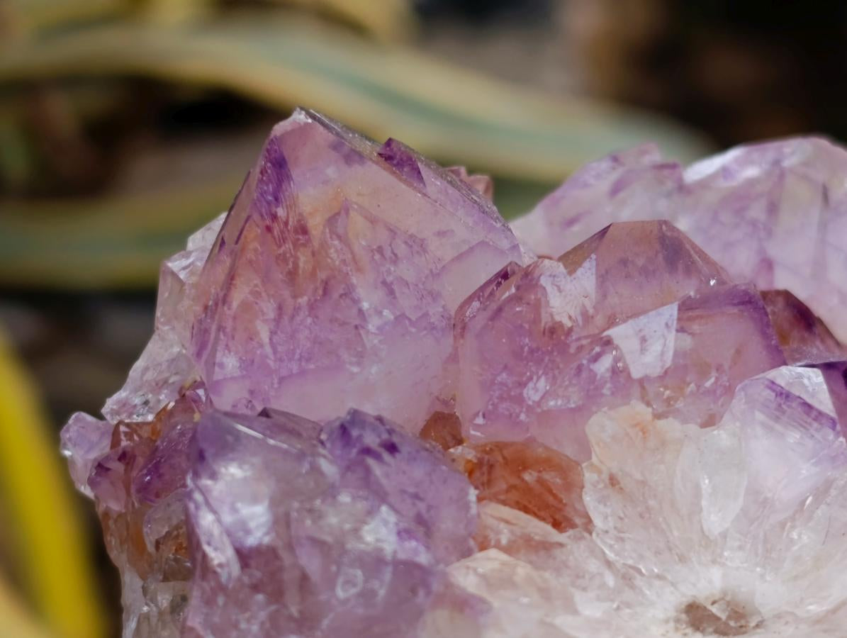 Natural Sunburst Amethyst Spirit Clusters x 2 From Boekenhouthoek, South Africa - Toprock Gemstones and Minerals 