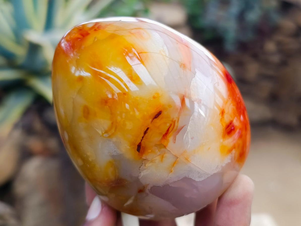 Polished Carnelian Agate Gemstone Standing Free Forms x 5 From Madagascar - Toprock Gemstones and Minerals 