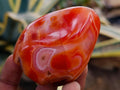 Polished Carnelian Agate Gemstone Standing Free Forms x 5 From Madagascar - Toprock Gemstones and Minerals 