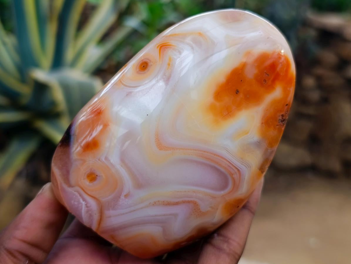 Polished Carnelian Agate Gemstone Standing Free Forms x 5 From Madagascar - Toprock Gemstones and Minerals 