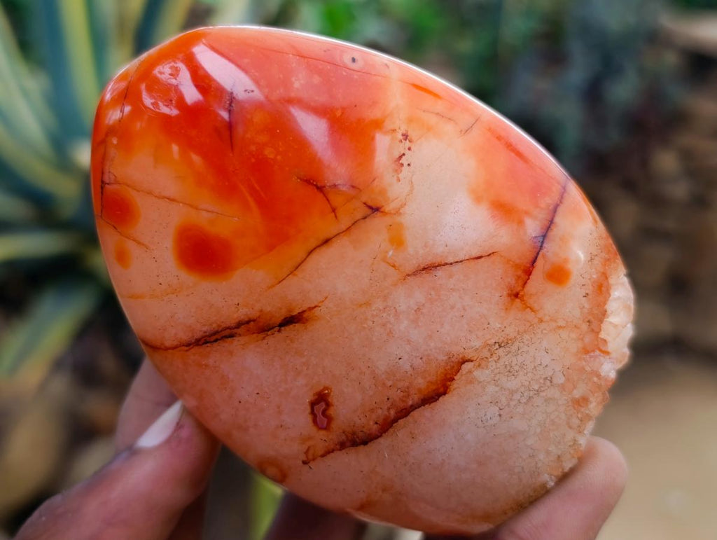 Polished Carnelian Agate Gemstone Standing Free Forms x 5 From Madagascar - Toprock Gemstones and Minerals 