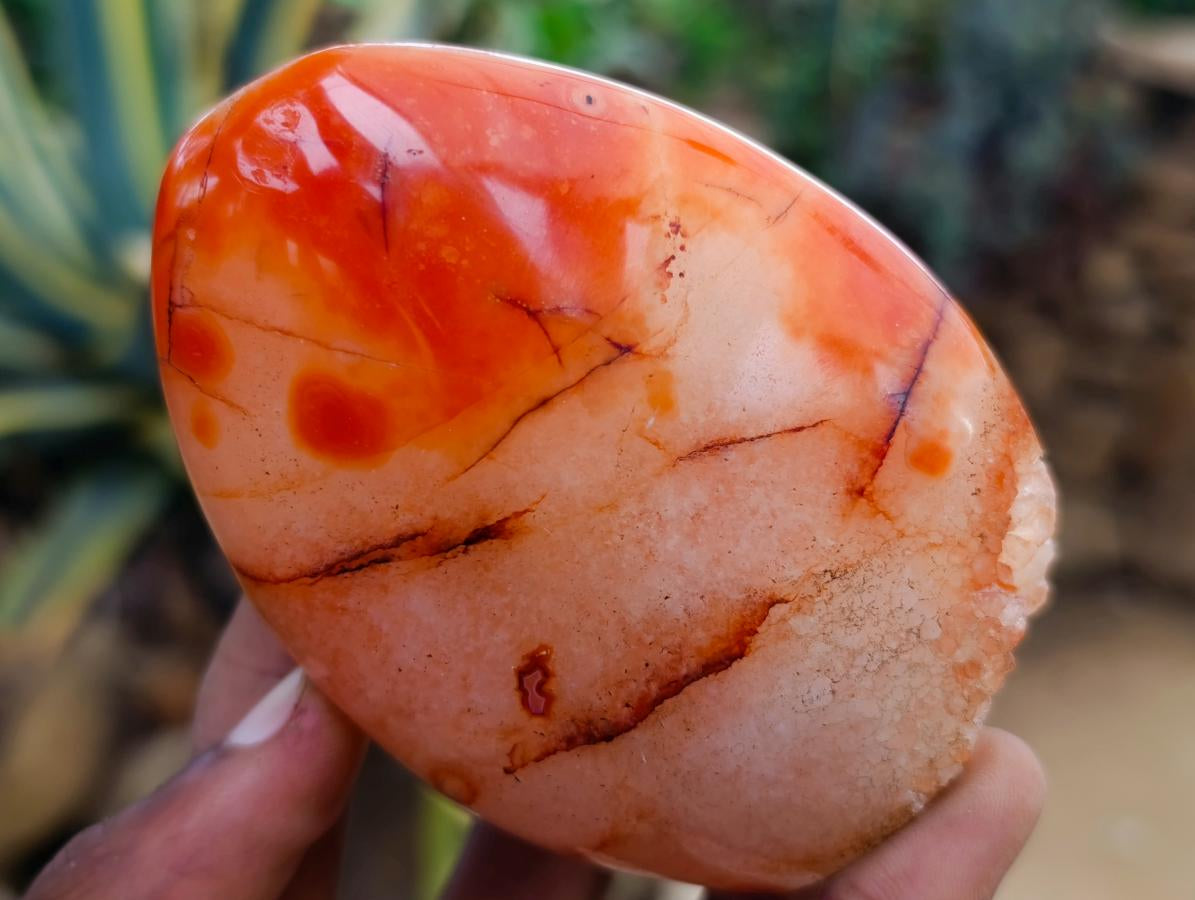 Polished Carnelian Agate Gemstone Standing Free Forms x 5 From Madagascar - Toprock Gemstones and Minerals 