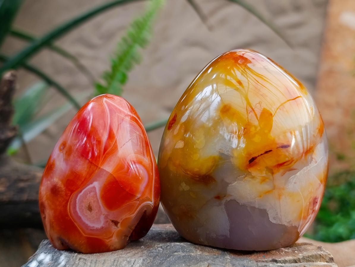 Polished Carnelian Agate Gemstone Standing Free Forms x 5 From Madagascar - Toprock Gemstones and Minerals 