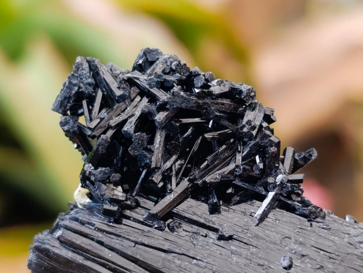 Natural Schorl Black Tourmaline Crystalline Specimens with Vermiculite x 12 From Erongo, Namibia - Toprock Gemstones and Minerals 