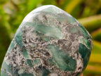 Polished Mtorolite Free Forms x 12 From Mutorashanga, Zimbabwe - Toprock Gemstones and Minerals 