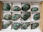 Polished Mtorolite Free Forms x 12 From Mutorashanga, Zimbabwe - Toprock Gemstones and Minerals 