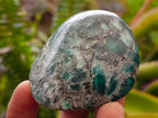 Polished Mtorolite Free Forms x 12 From Mutorashanga, Zimbabwe - Toprock Gemstones and Minerals 