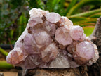 Natural Sunburst Amethyst Spirit Clusters x 2 From Boekenhouthoek, South Africa - Toprock Gemstones and Minerals 
