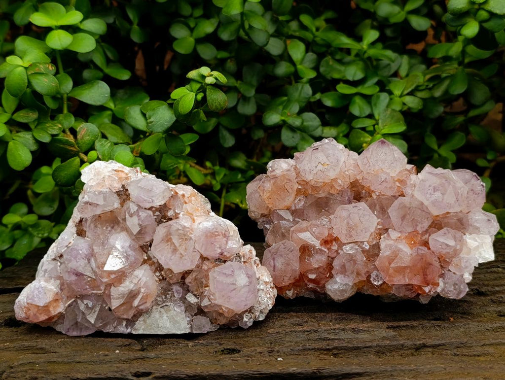 Natural Sunburst Amethyst Spirit Clusters x 2 From Boekenhouthoek, South Africa - Toprock Gemstones and Minerals 