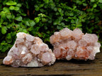 Natural Sunburst Amethyst Spirit Clusters x 2 From Boekenhouthoek, South Africa - Toprock Gemstones and Minerals 