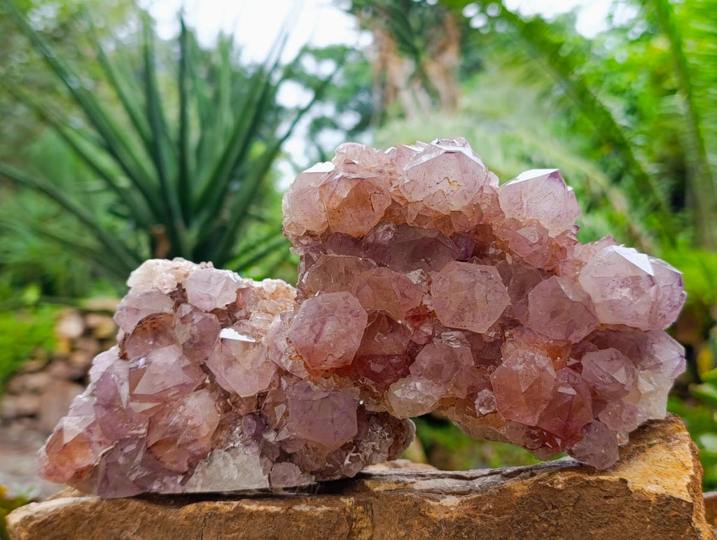 Natural Sunburst Amethyst Spirit Clusters x 2 From Boekenhouthoek, South Africa - Toprock Gemstones and Minerals 