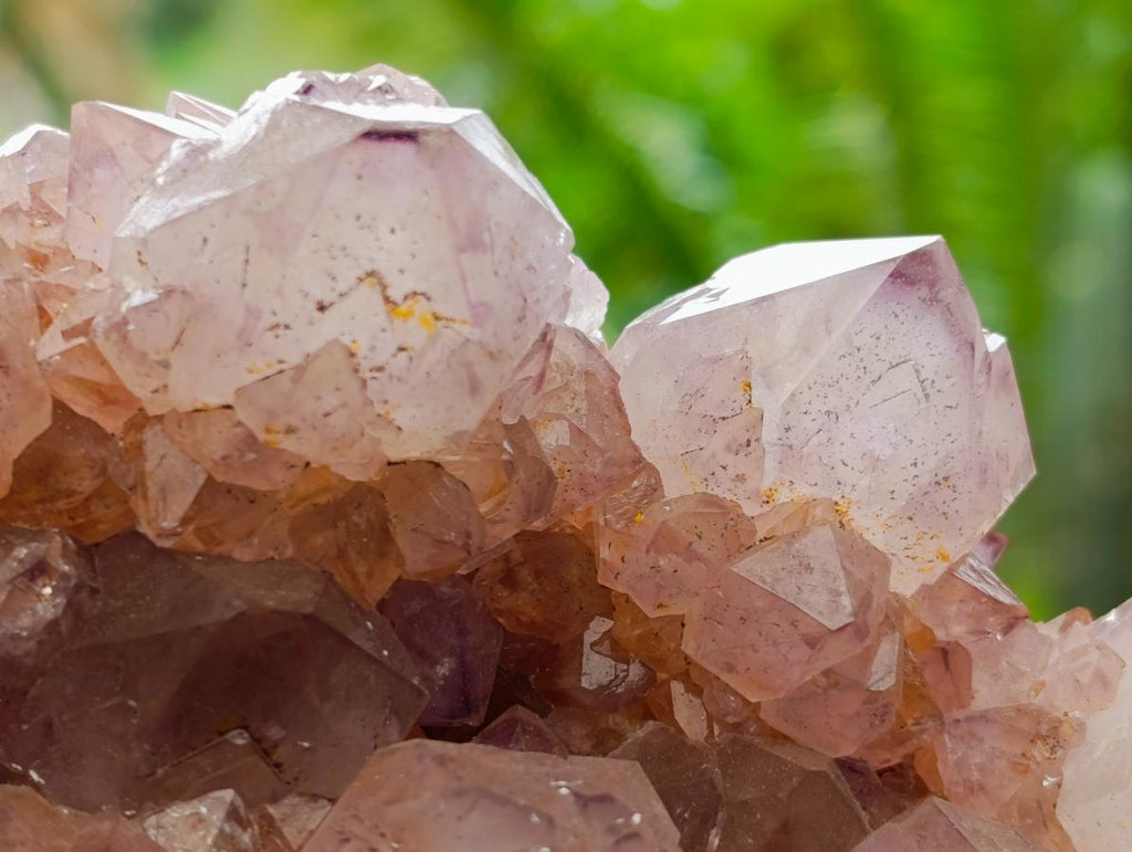 Natural Sunburst Amethyst Spirit Clusters x 2 From Boekenhouthoek, South Africa - Toprock Gemstones and Minerals 