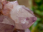 Natural Sunburst Amethyst Spirit Clusters x 2 From Boekenhouthoek, South Africa - Toprock Gemstones and Minerals 