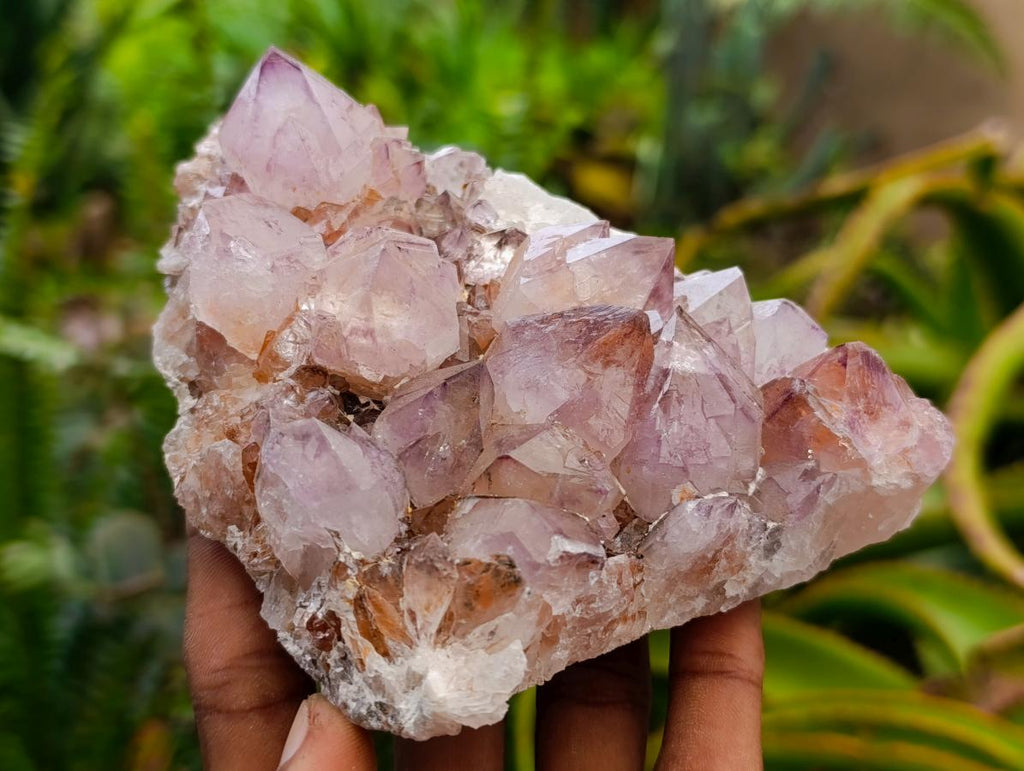 Natural Sunburst Amethyst Spirit Clusters x 2 From Boekenhouthoek, South Africa - Toprock Gemstones and Minerals 