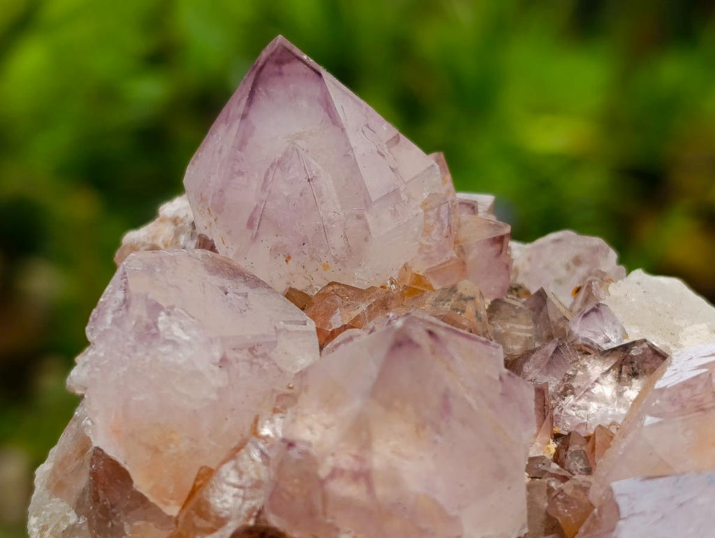 Natural Sunburst Amethyst Spirit Clusters x 2 From Boekenhouthoek, South Africa - Toprock Gemstones and Minerals 