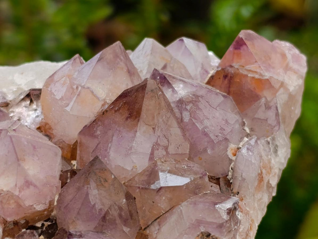 Natural Sunburst Amethyst Spirit Clusters x 2 From Boekenhouthoek, South Africa - Toprock Gemstones and Minerals 