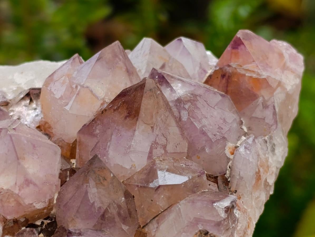 Natural Sunburst Amethyst Spirit Clusters x 2 From Boekenhouthoek, South Africa - Toprock Gemstones and Minerals 