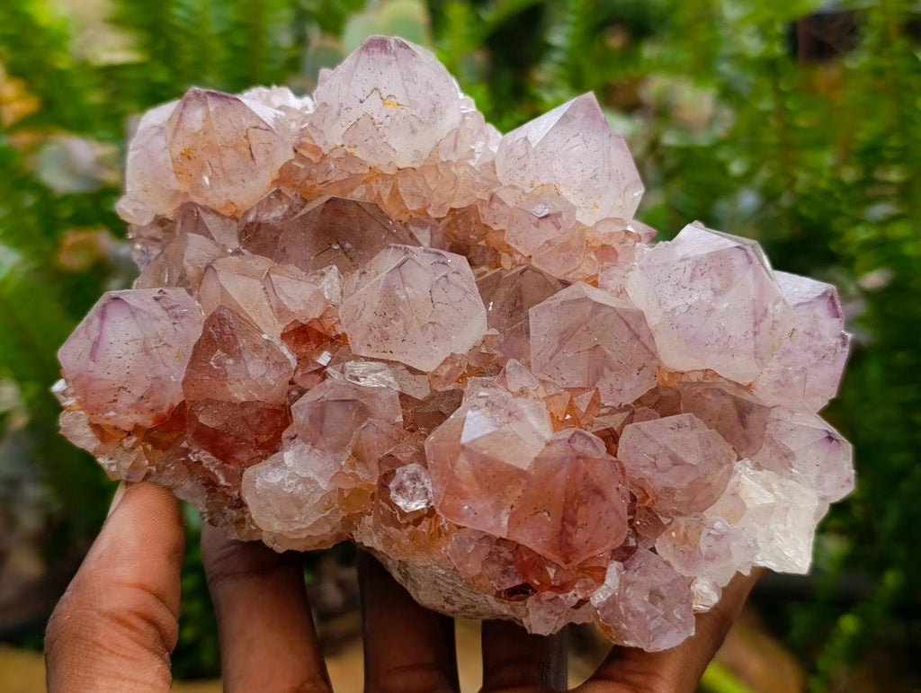 Natural Sunburst Amethyst Spirit Clusters x 2 From Boekenhouthoek, South Africa - Toprock Gemstones and Minerals 