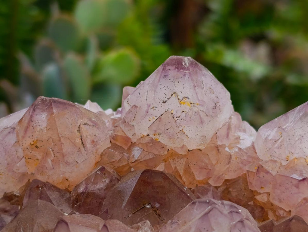 Natural Sunburst Amethyst Spirit Clusters x 2 From Boekenhouthoek, South Africa - Toprock Gemstones and Minerals 