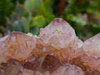 Natural Sunburst Amethyst Spirit Clusters x 2 From Boekenhouthoek, South Africa - Toprock Gemstones and Minerals 