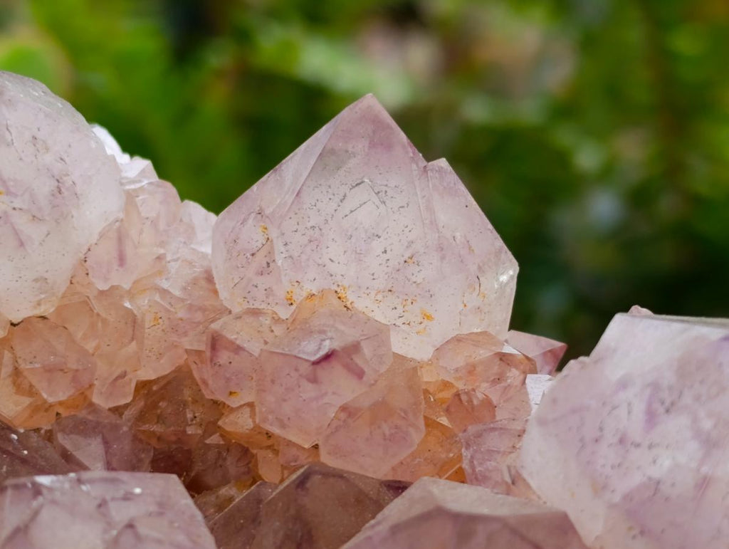 Natural Sunburst Amethyst Spirit Clusters x 2 From Boekenhouthoek, South Africa - Toprock Gemstones and Minerals 