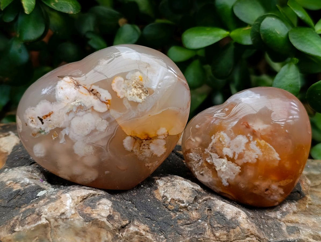 Polished Flower Agate Hearts x 7 From Antsahalova, Madagascar - Toprock Gemstones and Minerals 