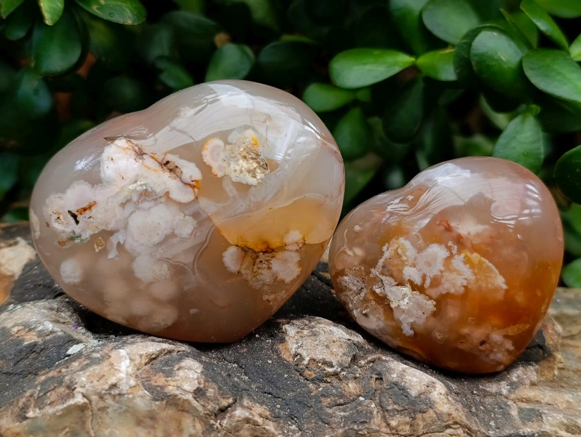 Polished Flower Agate Hearts x 7 From Antsahalova, Madagascar - Toprock Gemstones and Minerals 