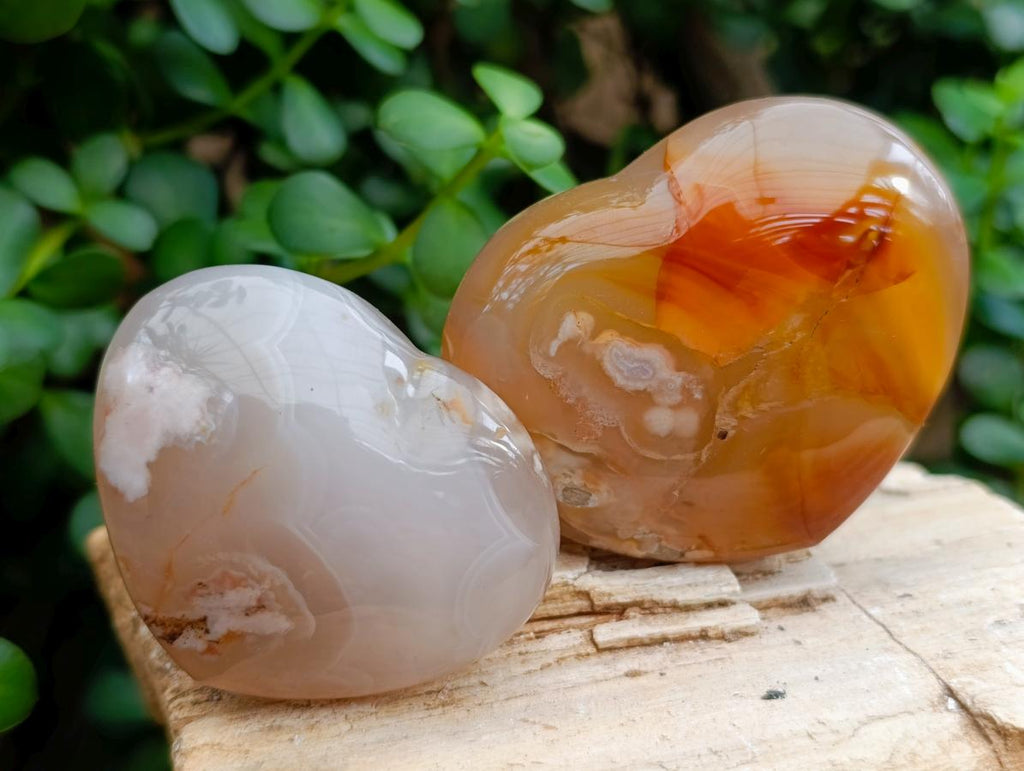 Polished Flower Agate Hearts x 7 From Antsahalova, Madagascar - Toprock Gemstones and Minerals 
