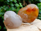 Polished Flower Agate Hearts x 7 From Antsahalova, Madagascar - Toprock Gemstones and Minerals 