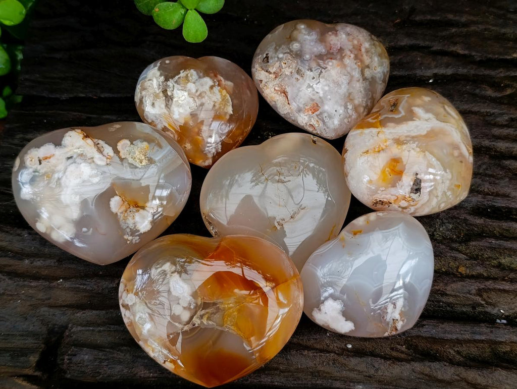 Polished Flower Agate Hearts x 7 From Antsahalova, Madagascar - Toprock Gemstones and Minerals 
