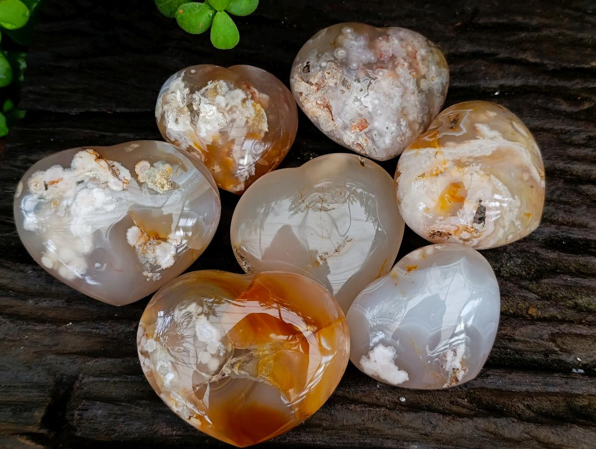 Polished Flower Agate Hearts x 7 From Antsahalova, Madagascar - Toprock Gemstones and Minerals 
