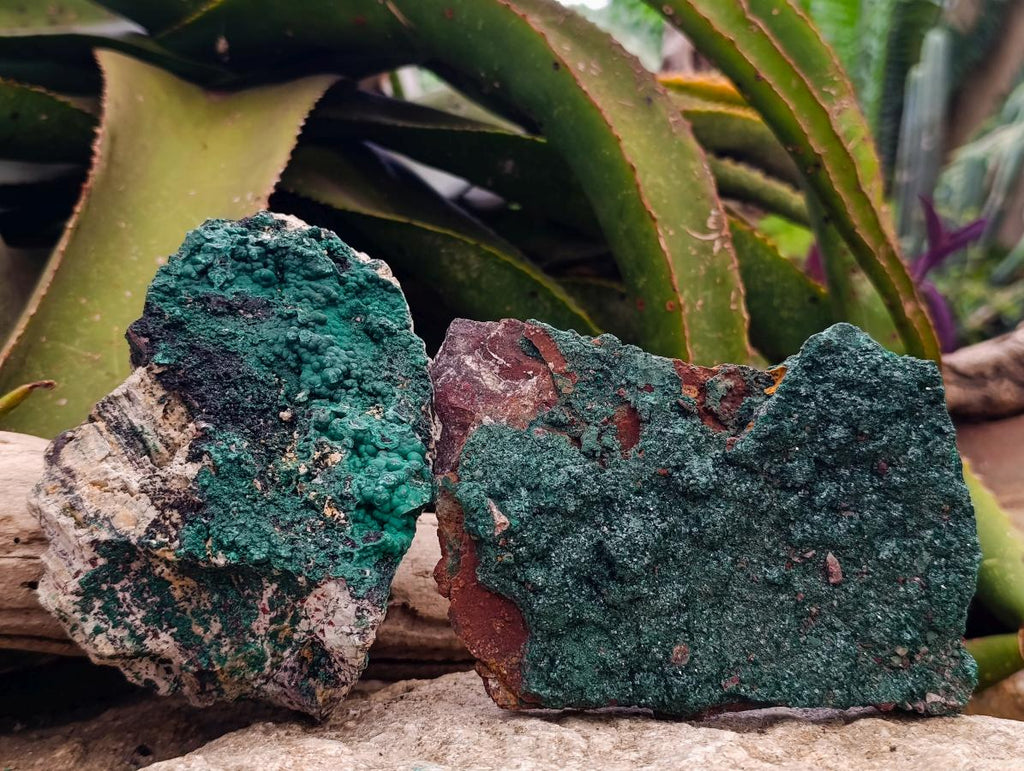 Natural Botryoidal Crystalline Malachite Specimens x 2 From Tenke Fungurume, Congo - Toprock Gemstones and Minerals 