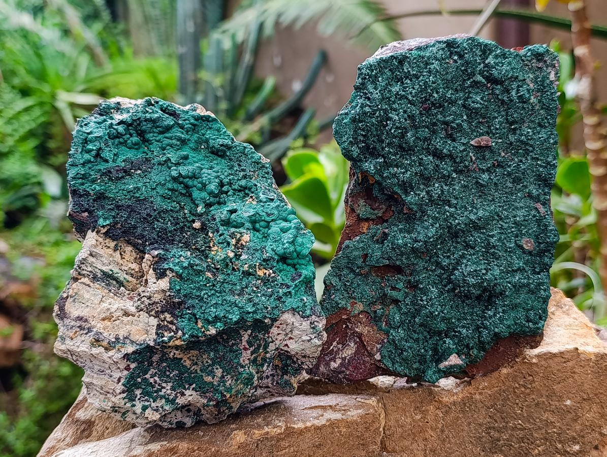 Natural Botryoidal Crystalline Malachite Specimens x 2 From Tenke Fungurume, Congo - Toprock Gemstones and Minerals 
