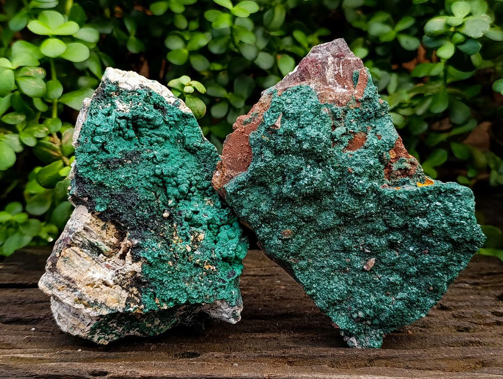 Natural Botryoidal Crystalline Malachite Specimens x 2 From Tenke Fungurume, Congo - Toprock Gemstones and Minerals 