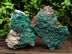 Natural Botryoidal Crystalline Malachite Specimens x 2 From Tenke Fungurume, Congo - Toprock Gemstones and Minerals 