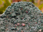 Natural Botryoidal Crystalline Malachite Specimens x 2 From Tenke Fungurume, Congo - Toprock Gemstones and Minerals 