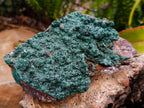 Natural Botryoidal Crystalline Malachite Specimens x 2 From Tenke Fungurume, Congo - Toprock Gemstones and Minerals 