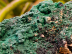 Natural Botryoidal Crystalline Malachite Specimens x 2 From Tenke Fungurume, Congo - Toprock Gemstones and Minerals 