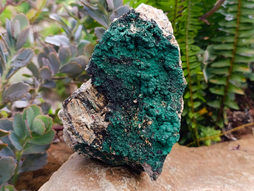 Natural Botryoidal Crystalline Malachite Specimens x 2 From Tenke Fungurume, Congo - Toprock Gemstones and Minerals 