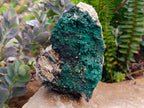 Natural Botryoidal Crystalline Malachite Specimens x 2 From Tenke Fungurume, Congo - Toprock Gemstones and Minerals 