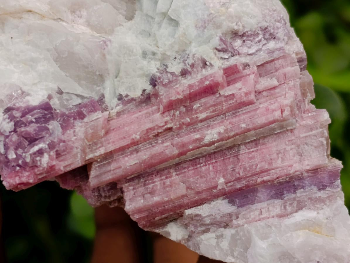 Natural Pink Rubellite Tourmaline Specimens x 4 From Karibib, Namibia - Toprock Gemstones and Minerals 