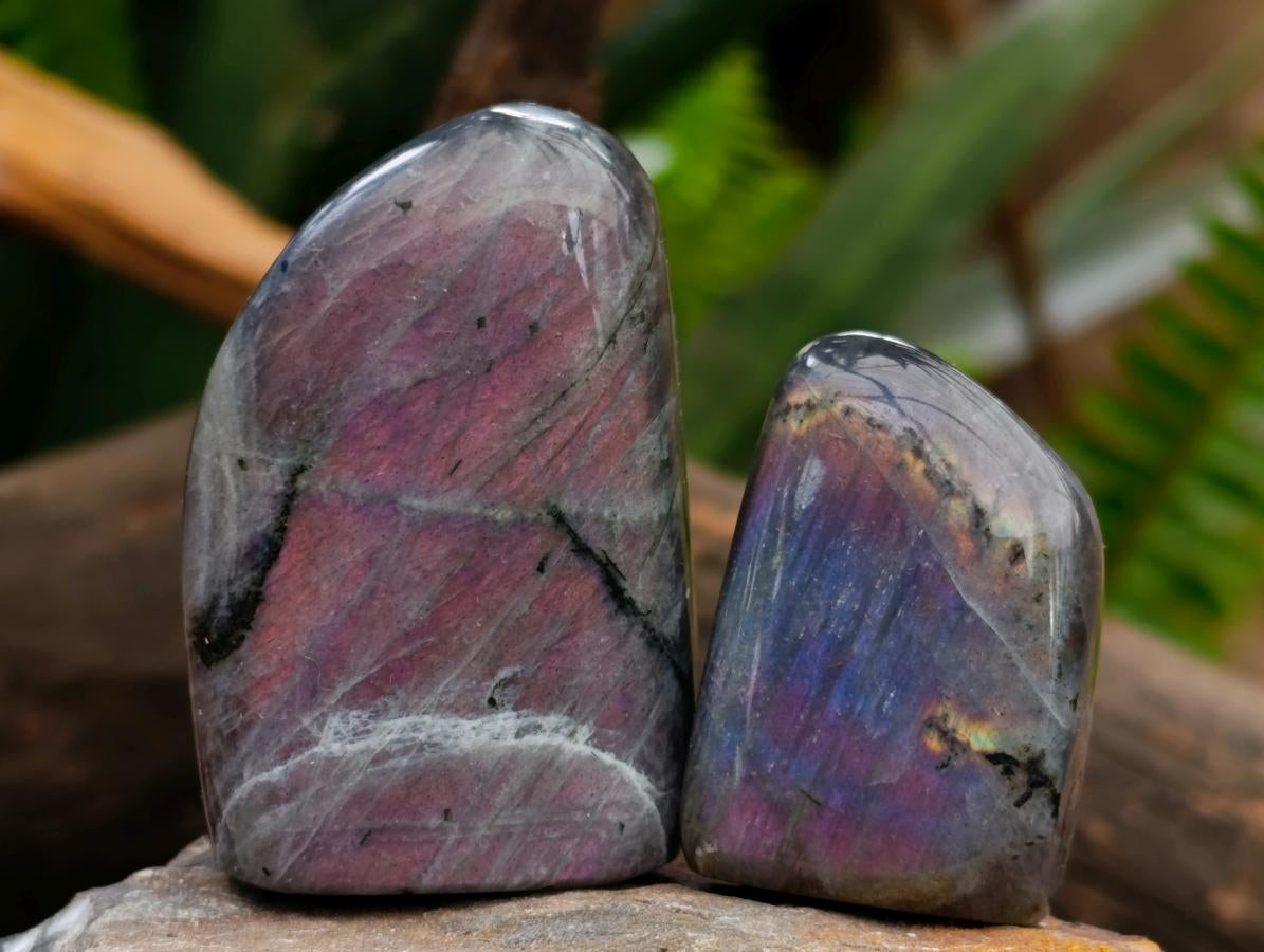 Polished Rare Purple Sunset Flash Labradorite Standing Free Forms x 12 From Madagascar - Toprock Gemstones and Minerals 
