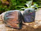 Polished Rare Purple Sunset Flash Labradorite Standing Free Forms x 12 From Madagascar - Toprock Gemstones and Minerals 