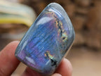 Polished Rare Purple Sunset Flash Labradorite Standing Free Forms x 12 From Madagascar - Toprock Gemstones and Minerals 