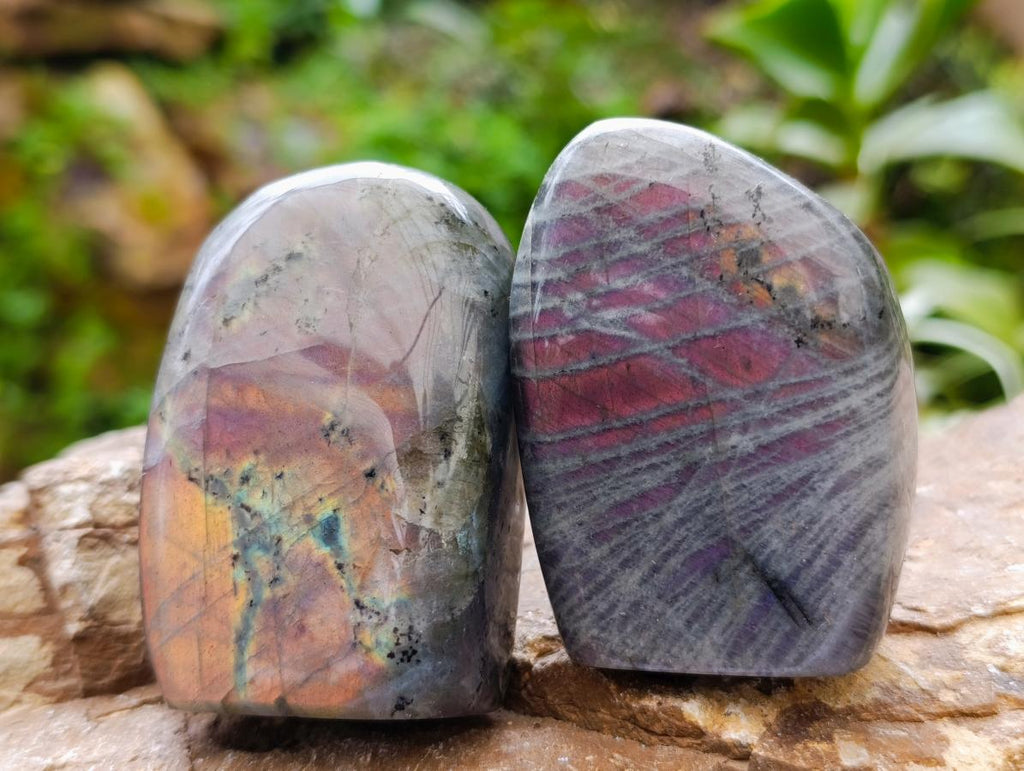 Polished Rare Purple Sunset Flash Labradorite Standing Free Forms x 12 From Madagascar - Toprock Gemstones and Minerals 