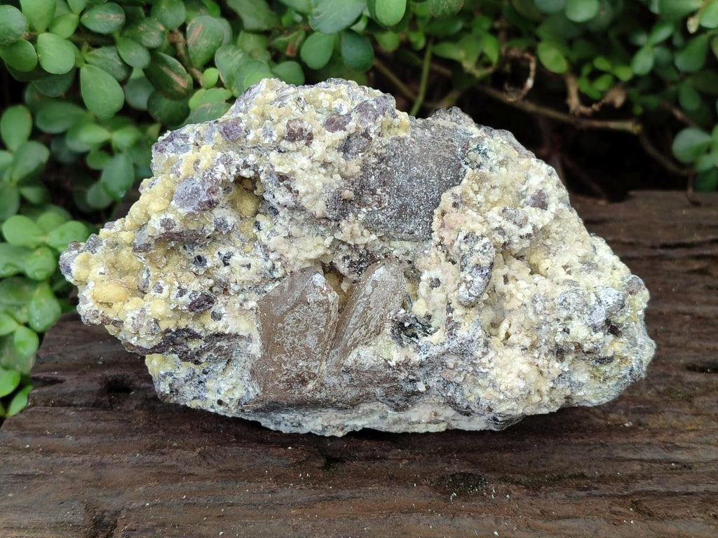Natural Large Smokey Quartz Specimen with Associated Minerals x 1 From Erongo, Namibia - Toprock Gemstones and Minerals 