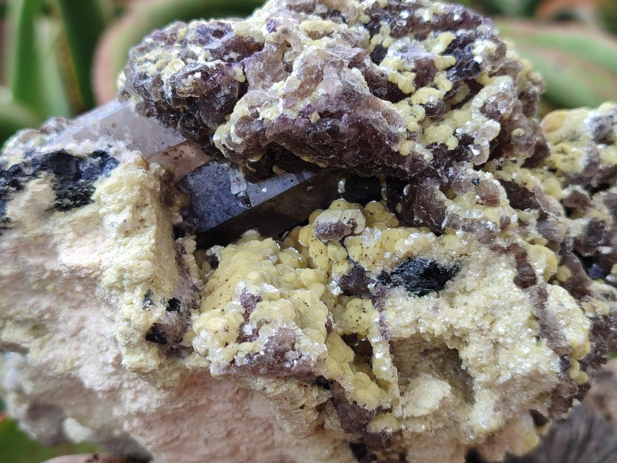 Natural Large Smokey Quartz Specimen with Associated Minerals x 1 From Erongo, Namibia - Toprock Gemstones and Minerals 